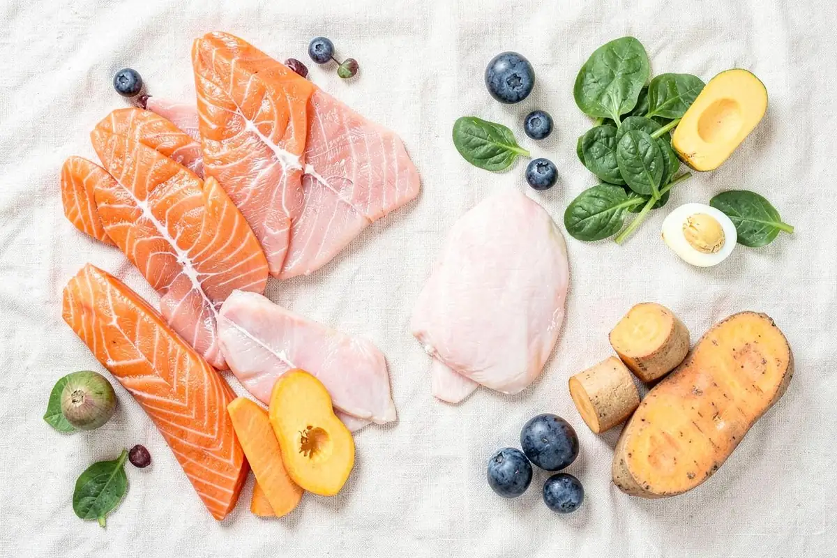 Ingredientes naturales frescos para perros: salmón, pollo, arándanos, espinaca y batata